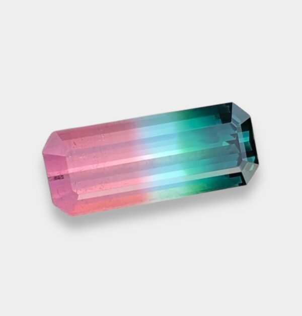 Bi Color Tourmaline