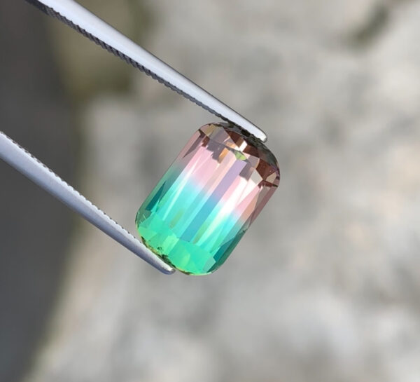 Bi Color Tourmaline