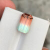 Bi Color Tourmaline