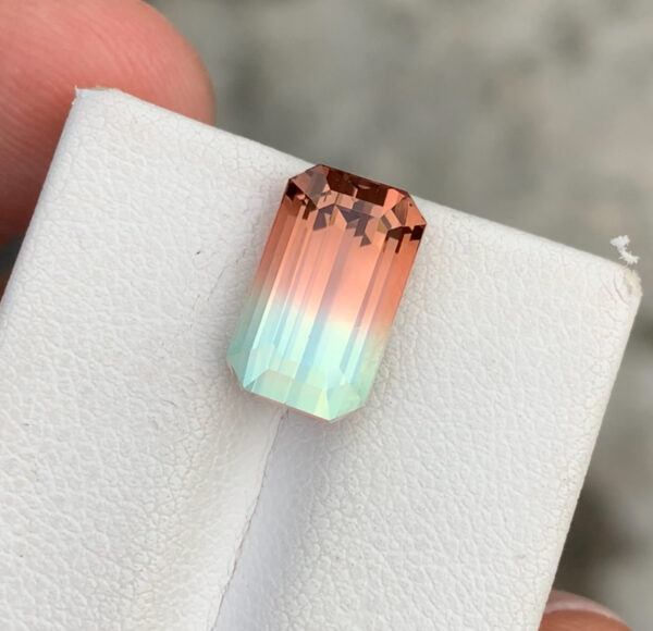 Bi Color Tourmaline