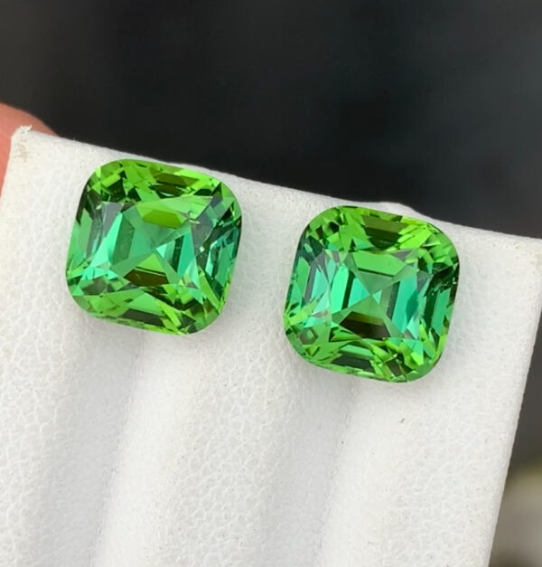 Tourmaline Pair