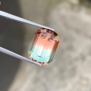 Bi Color Tourmaline