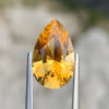 Golden Tourmaline