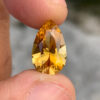 Golden Tourmaline