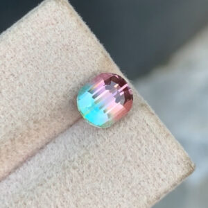 Bi color Tourmaline