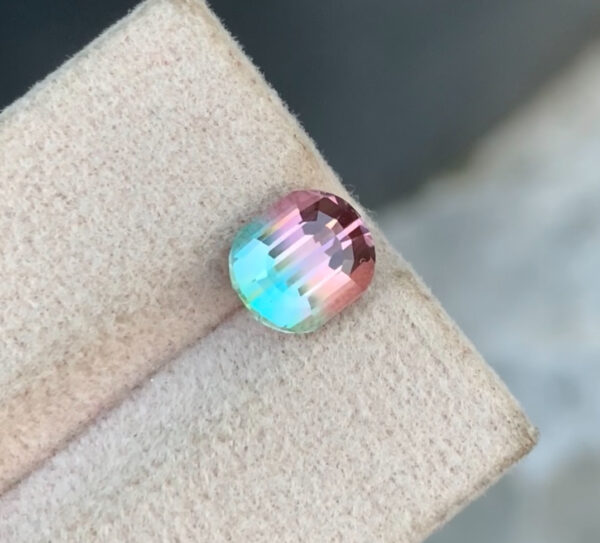 Bi color Tourmaline