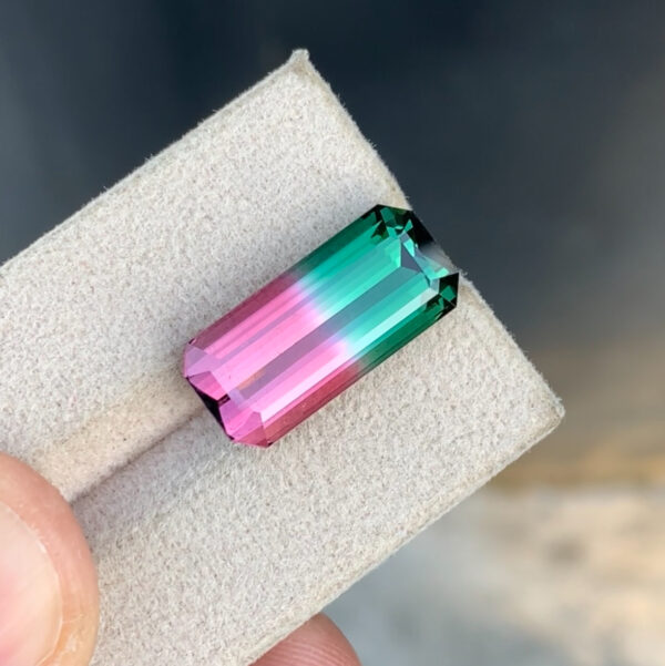 Watermelon Tourmaline