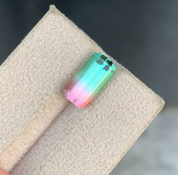 Bi Color Tourmaline