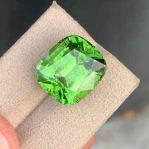 Peridot with Ludwigite inclusions