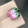 bi color tourmaline