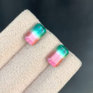 Watermelon Tourmaline Pair