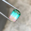 Bi Color Tourmaline