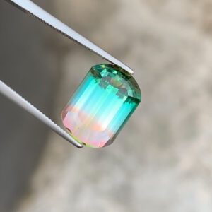 Bi Color Tourmaline