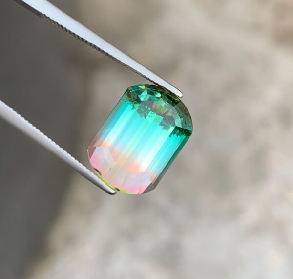 Bi Color Tourmaline