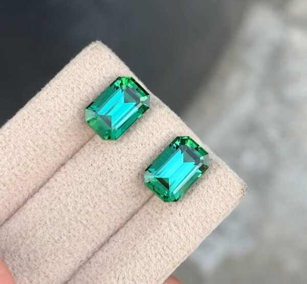 Tourmaline pair