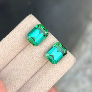 Tourmaline Pair