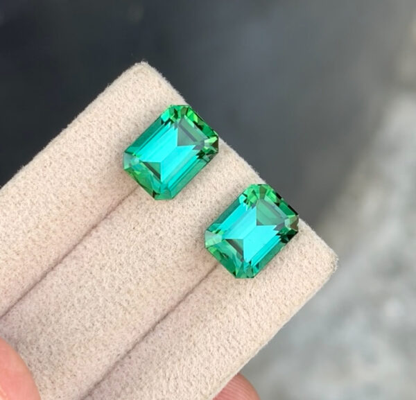Tourmaline Pair