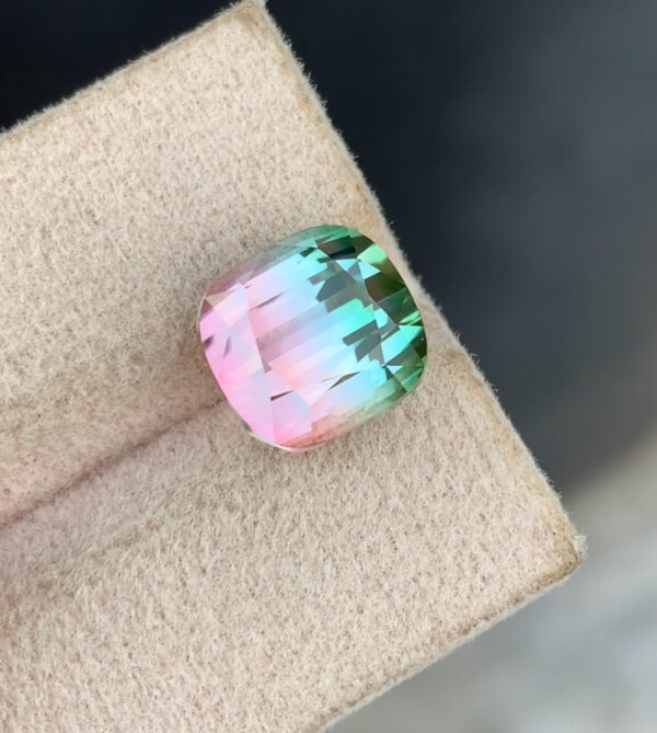 Bi Color Tourmaline